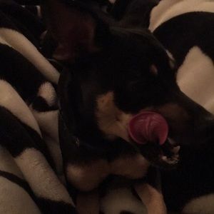 Meet your Posher, Shauna